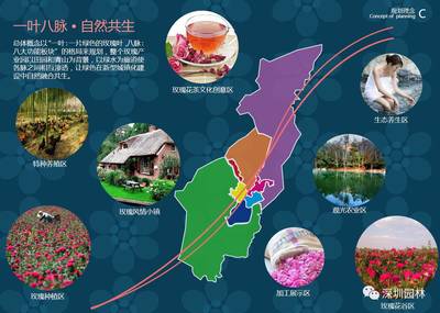 生态旅游丨生态农业综合体项目--农谷万亩玫瑰庄园玫瑰花谷_搜狐旅游